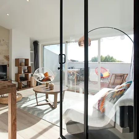 Truchet Penthouse 公寓 阿爾勒